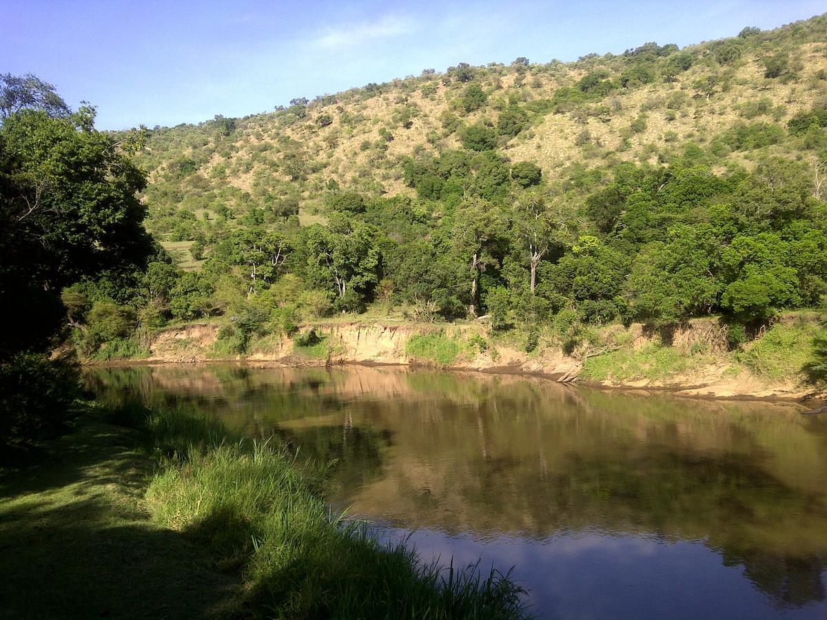 Mara River Camp Aitong المظهر الخارجي الصورة